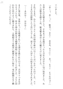 座敷童の掟 外伝 資料 伊奈澤聡美の書簡, 日本語