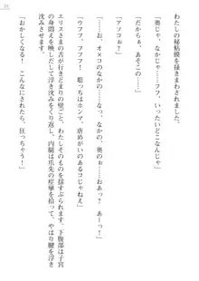 座敷童の掟 外伝 資料 伊奈澤聡美の書簡, 日本語