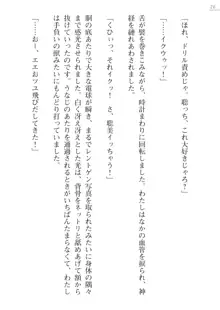 座敷童の掟 外伝 資料 伊奈澤聡美の書簡, 日本語