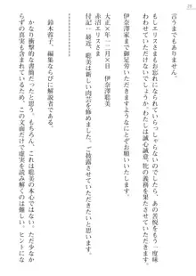 座敷童の掟 外伝 資料 伊奈澤聡美の書簡, 日本語