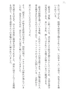 座敷童の掟 外伝 資料 伊奈澤聡美の書簡, 日本語