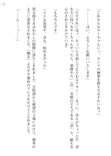 座敷童の掟 外伝 資料 伊奈澤聡美の書簡, 日本語