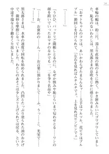 座敷童の掟 外伝 資料 伊奈澤聡美の書簡, 日本語