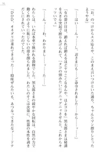 座敷童の掟 外伝 資料 伊奈澤聡美の書簡, 日本語