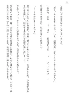 座敷童の掟 外伝 資料 伊奈澤聡美の書簡, 日本語