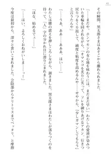 座敷童の掟 外伝 資料 伊奈澤聡美の書簡, 日本語