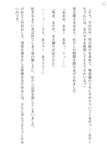 座敷童の掟 外伝 資料 伊奈澤聡美の書簡, 日本語