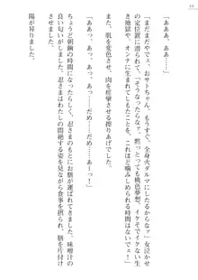 座敷童の掟 外伝 資料 伊奈澤聡美の書簡, 日本語