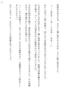 座敷童の掟 外伝 資料 伊奈澤聡美の書簡, 日本語