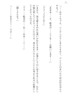 座敷童の掟 外伝 資料 伊奈澤聡美の書簡, 日本語