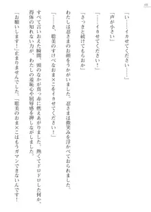 座敷童の掟 外伝 資料 伊奈澤聡美の書簡, 日本語