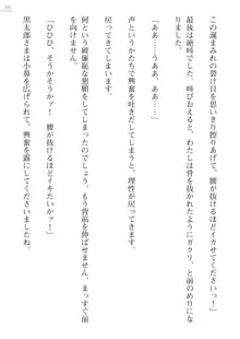 座敷童の掟 外伝 資料 伊奈澤聡美の書簡, 日本語