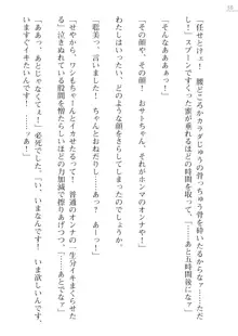 座敷童の掟 外伝 資料 伊奈澤聡美の書簡, 日本語