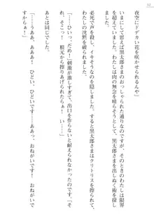 座敷童の掟 外伝 資料 伊奈澤聡美の書簡, 日本語