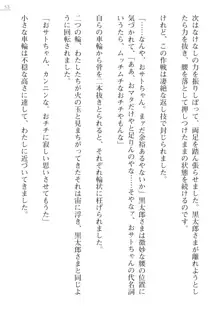 座敷童の掟 外伝 資料 伊奈澤聡美の書簡, 日本語