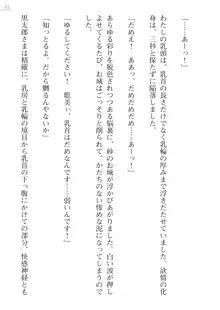 座敷童の掟 外伝 資料 伊奈澤聡美の書簡, 日本語