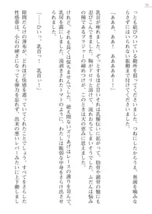 座敷童の掟 外伝 資料 伊奈澤聡美の書簡, 日本語