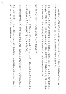 座敷童の掟 外伝 資料 伊奈澤聡美の書簡, 日本語