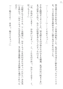 座敷童の掟 外伝 資料 伊奈澤聡美の書簡, 日本語