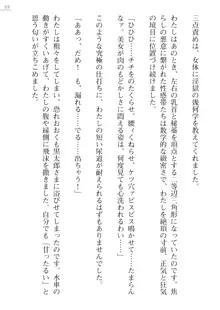 座敷童の掟 外伝 資料 伊奈澤聡美の書簡, 日本語