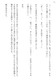 座敷童の掟 外伝 資料 伊奈澤聡美の書簡, 日本語