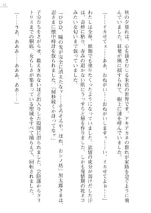 座敷童の掟 外伝 資料 伊奈澤聡美の書簡, 日本語