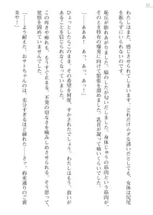 座敷童の掟 外伝 資料 伊奈澤聡美の書簡, 日本語