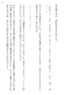 座敷童の掟 外伝 資料 伊奈澤聡美の書簡, 日本語