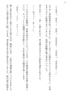 座敷童の掟 外伝 資料 伊奈澤聡美の書簡, 日本語