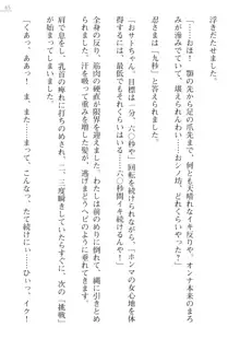 座敷童の掟 外伝 資料 伊奈澤聡美の書簡, 日本語