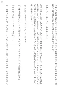 座敷童の掟 外伝 資料 伊奈澤聡美の書簡, 日本語