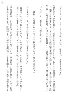 座敷童の掟 外伝 資料 伊奈澤聡美の書簡, 日本語