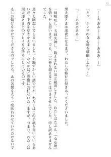 座敷童の掟 外伝 資料 伊奈澤聡美の書簡, 日本語