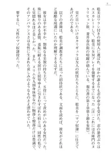 座敷童の掟 外伝 資料 伊奈澤聡美の書簡, 日本語