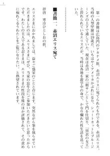 座敷童の掟 外伝 資料 伊奈澤聡美の書簡, 日本語