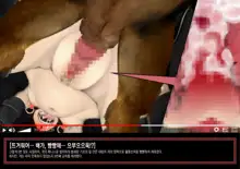 DTube, 한국어