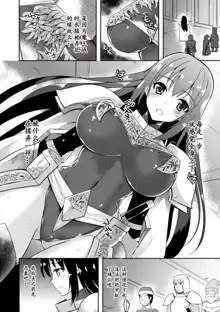 Heroine Erina ~The Desire to Squirm within the Armor~, 中文