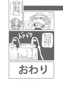 先生と○○, 日本語