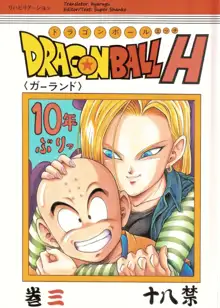 DragonBall H Maki San, English