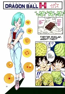 DragonBall H Maki San, English