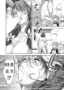 Shiki Oriori Ch.3, 한국어