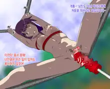 Gesumonogatari - Classmate o Rachitte Netoru, 한국어