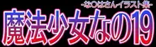 魔法少女なの19 -な○はさんイラスト集- 黒棒版, 日本語