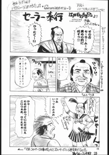 月下の騎士, 日本語