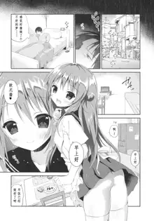 Risou no Imouto 3, 中文