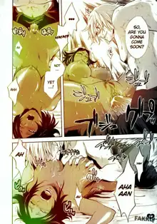 BLEACH Cat stories, English