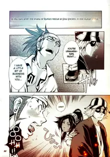 BLEACH Cat stories, English