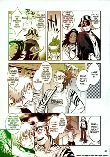 BLEACH Cat stories, English