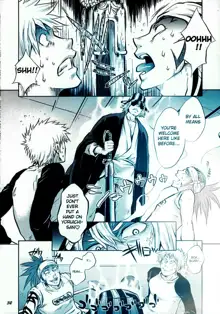 BLEACH Cat stories, English