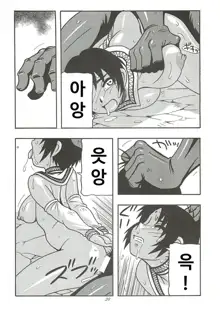 CELVARG2, 한국어